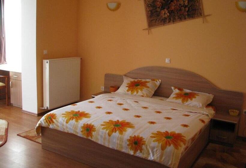 اتاق سوپریور, Pensiunea Neredy