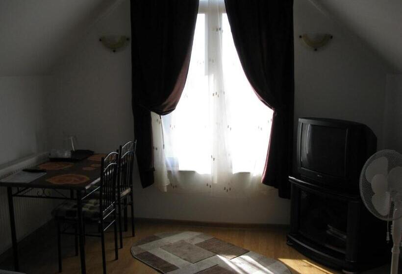 اتاق اکونومی, Pensiunea Neredy