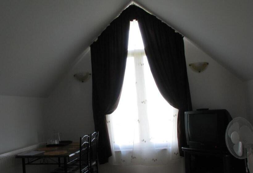 اتاق اکونومی, Pensiunea Neredy