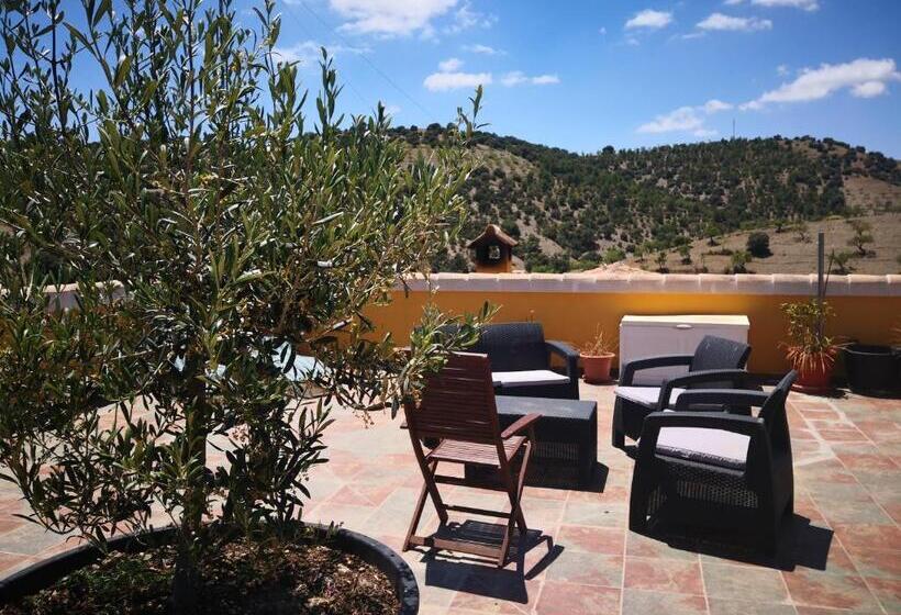 شقة غرفة واحدة, Casa Joya