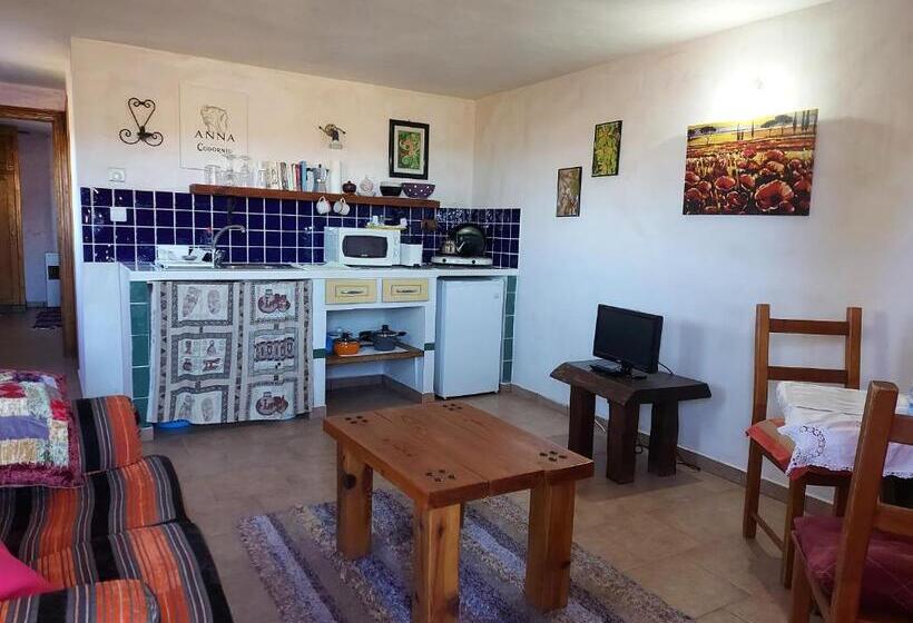 شقة غرفة واحدة, Casa Joya