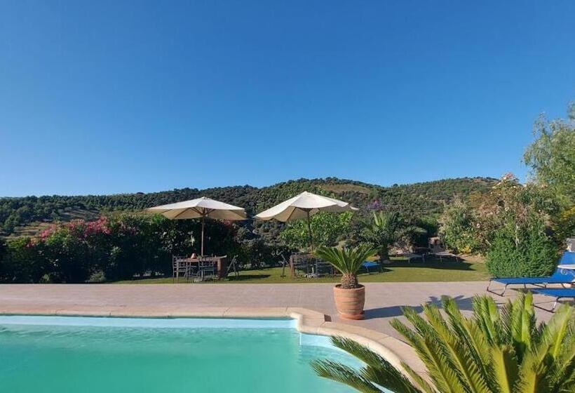 شقة غرفة نوم واحدة بالطابق الأرضى, Casa Joya