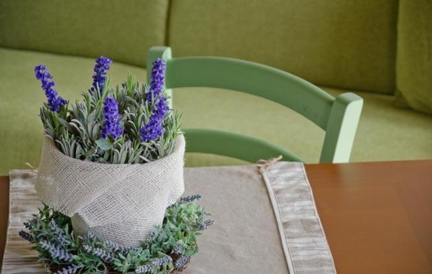 شقة غرفة واحدة, Agriturismo La Perla