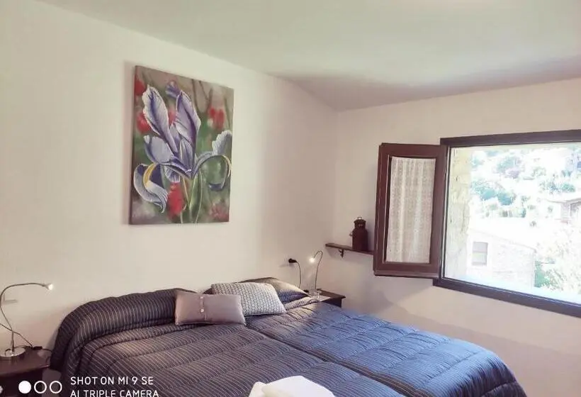 Camera Standard, Hostal Moliné