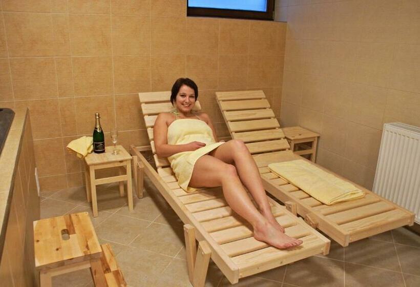 Номер Стандарт, Pension Klokočí