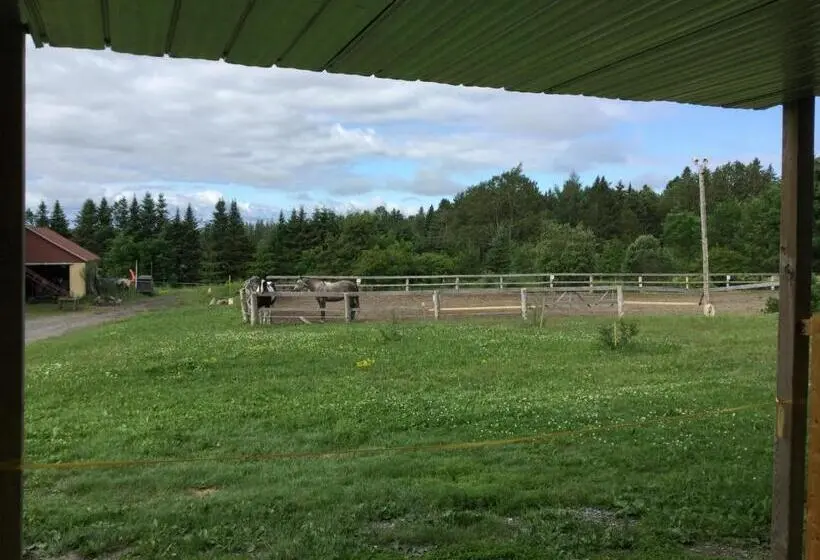 テラス付きスタンダードワンルーム, Gite Chez Gilles Lévesque