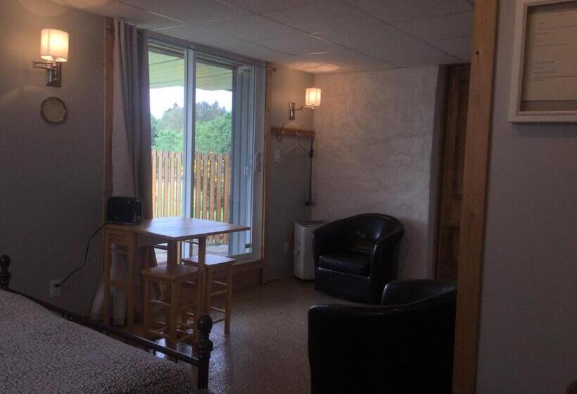 テラス付きスタンダードワンルーム, Gite Chez Gilles Lévesque