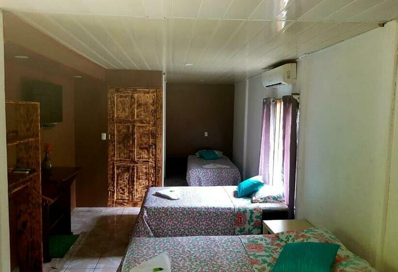 غرفة أساسية ثلاثية, Maguey