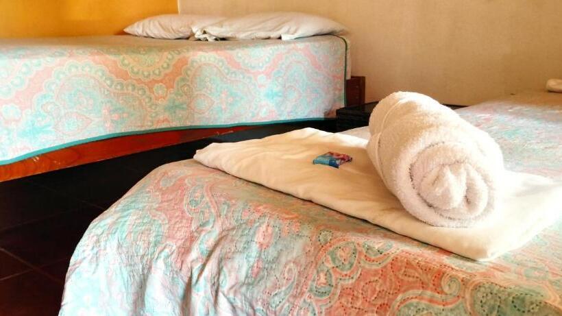 غرفة إقتصادية, Maguey