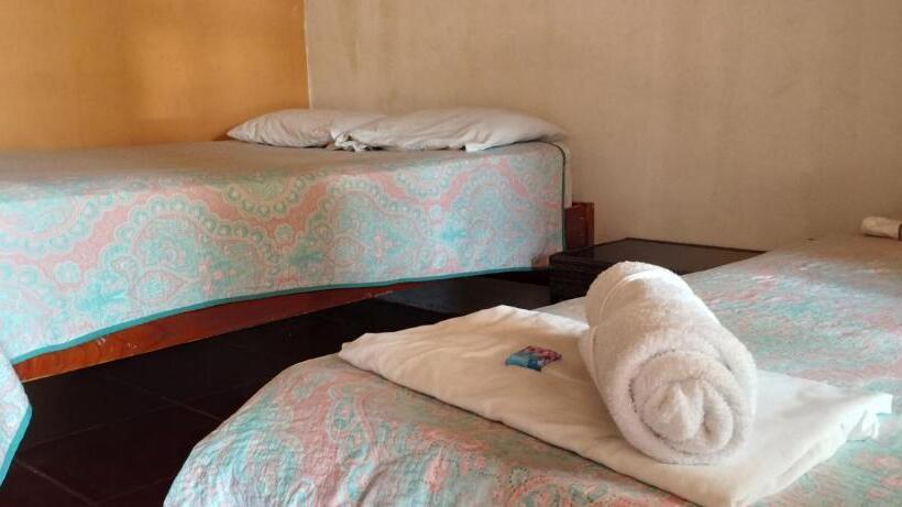 غرفة إقتصادية, Maguey