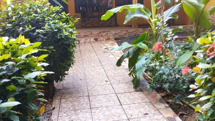スーペリアファミリールーム, Maguey