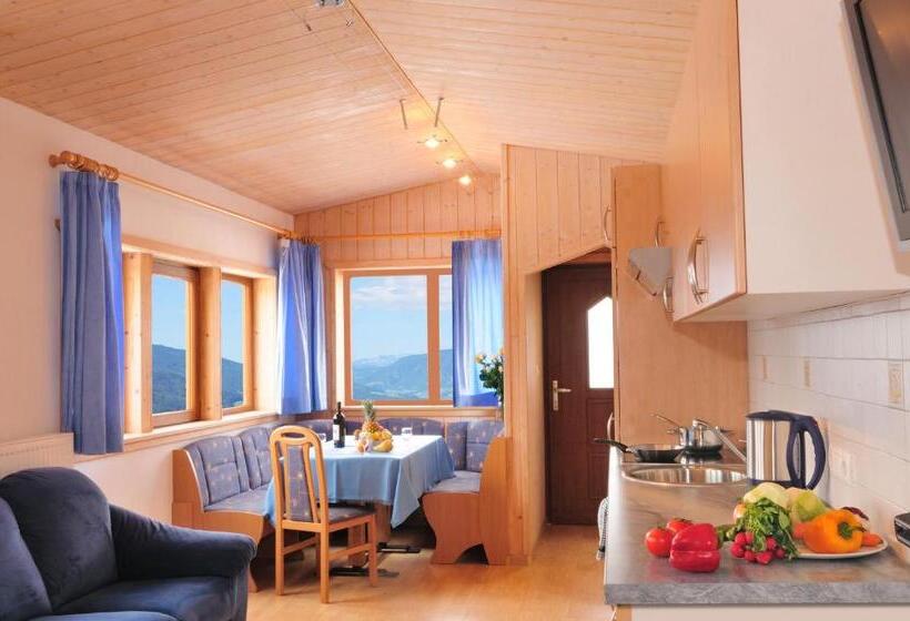 1 Bedroom Apartment Mountain View, Rastlhof