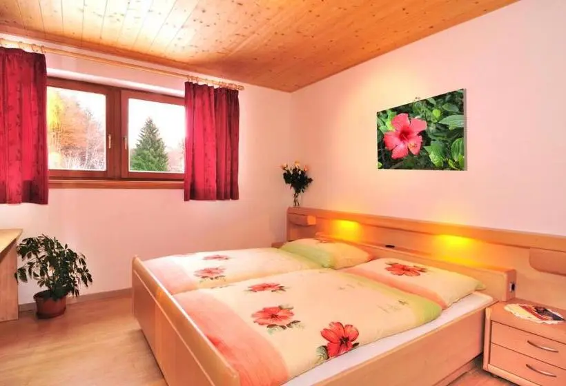 1 Bedroom Apartment Mountain View, Rastlhof