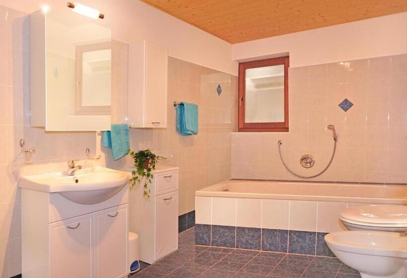 1 Bedroom Apartment Mountain View, Rastlhof