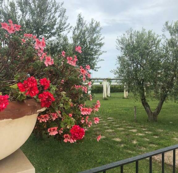 Номер Стандарт, Tenuta Orsanese