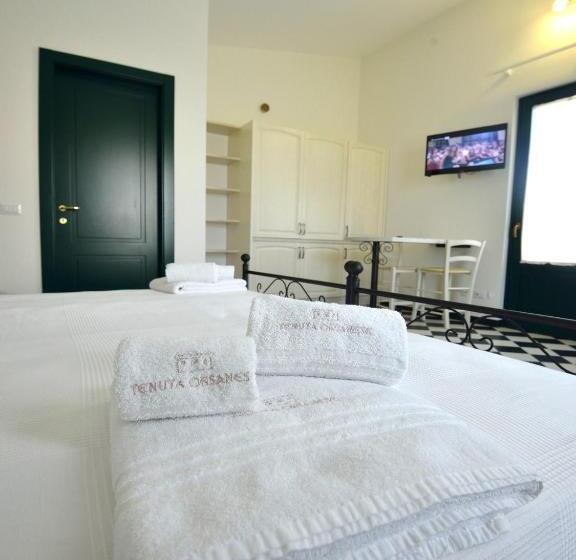 إستوديو قياسى مطلّ علي الحديقة, Tenuta Orsanese