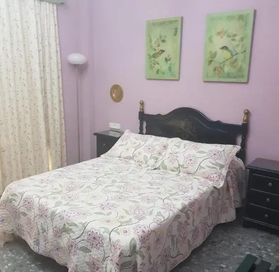スタンダードシングルルーム, Hostal Hispalis