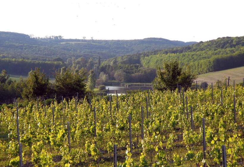 جناح غرفتين نوم, Matievics Borászat és Vendégház