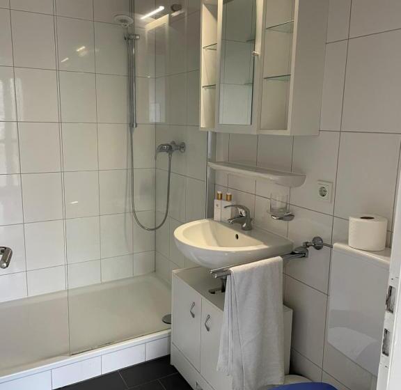 غرفة قياسية, Pension Zur Quelle