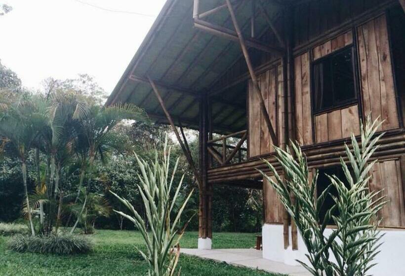 غرفة سوبيريور ثلاثية, Albergue De Montaña Talari