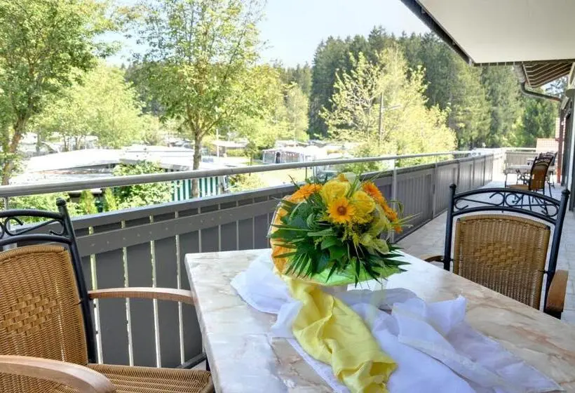 １ベッドルームのデラックスアパートメント, Allgäu Hotel Elbsee