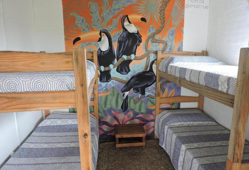 정원 전망 4인용 스탠다드 룸, Beleza Pura B&b