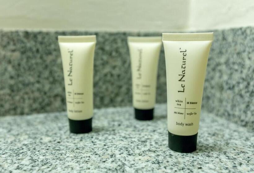 クイーンサイズベッドのスイートルーム, Roosevelt Resort Park