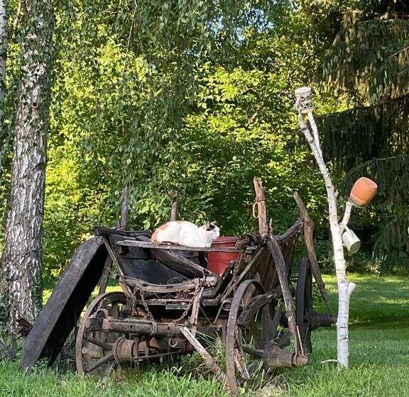 スタンダード4人部屋, Fonfa Liget