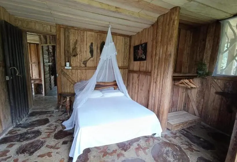 Standard-huone, Huaca Huaca Hostel