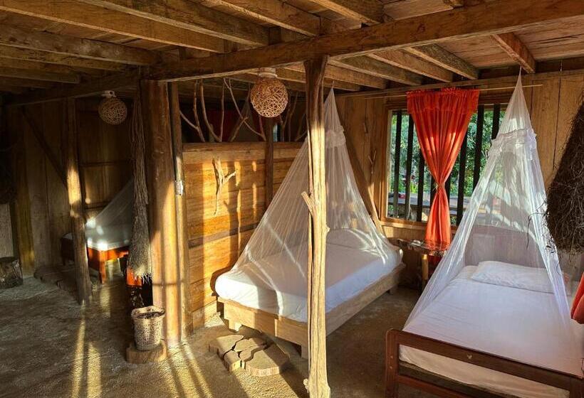Кровать в Общей Комнате, Huaca Huaca Hostel