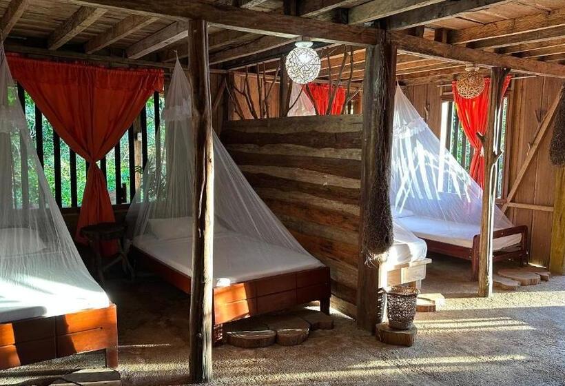 מיטה בחדר משותף, Huaca Huaca Hostel