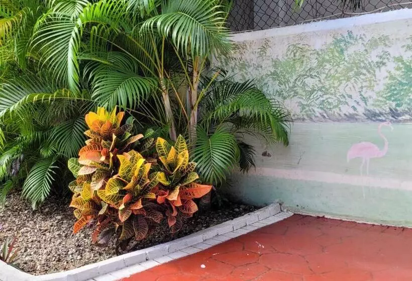 اتاق استاندارد یک نفره, Calypso Beach Hotel By The Urbn House Santo Domingo Airport