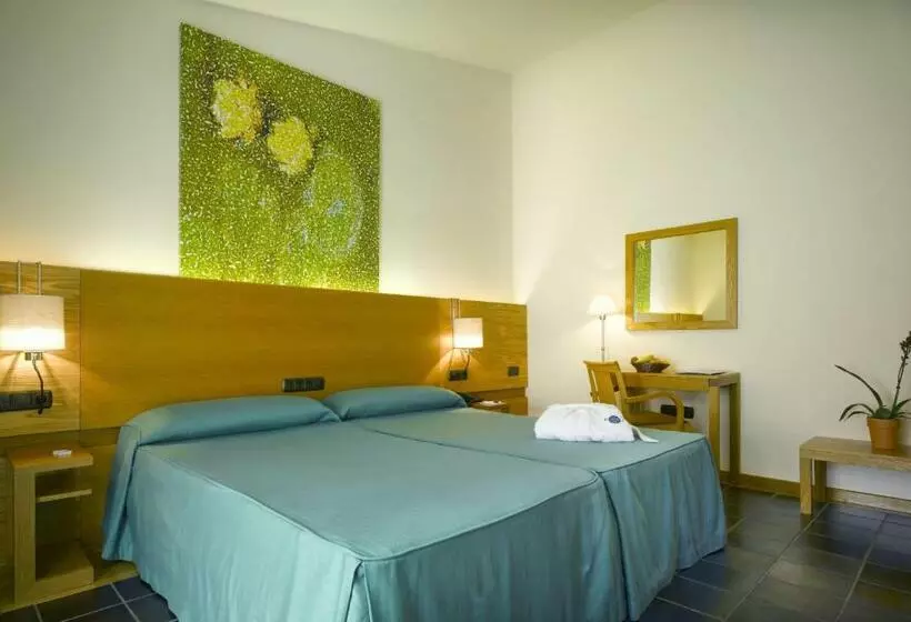 اتاق استاندارد با دسترسی به اسپا, Balneario De Archena   Hotel Levante