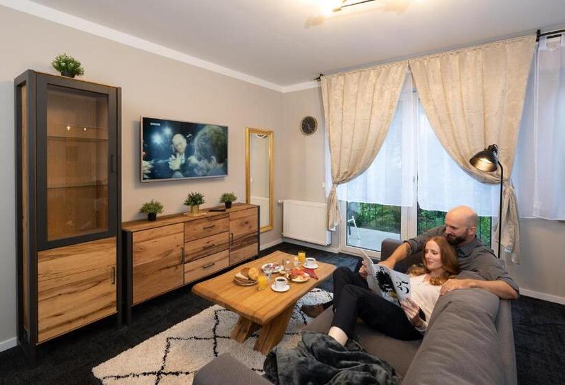 带1个卧室的带阳台的公寓, Burgblick