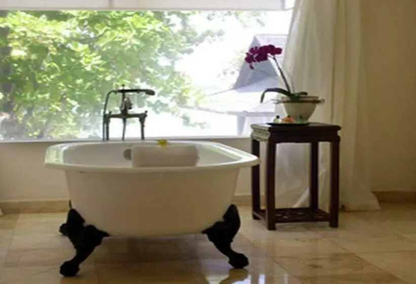 سوییت جونیور با چشمانداز دریا, Casa Colonial Beach & Spa