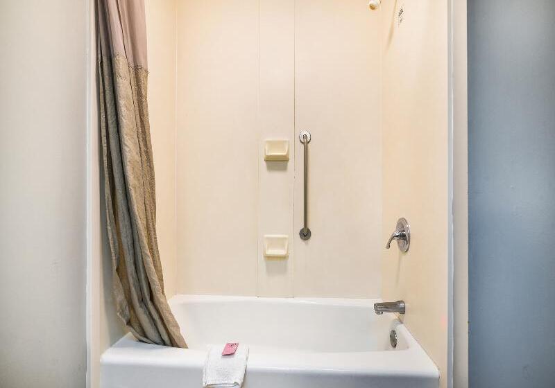 חדר סטנדרט לשלושה, Detelina