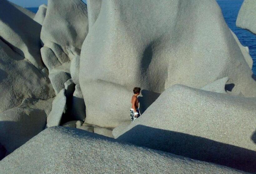 스탠다드 룸, Meta