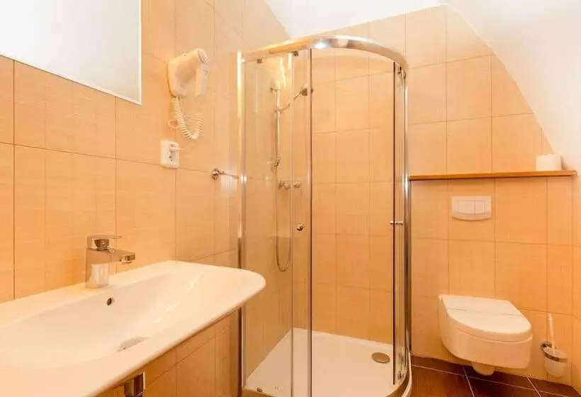 اتاق استاندارد, Zlaty Andel