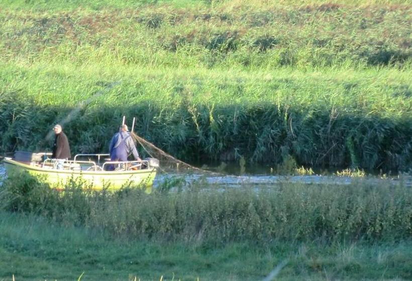 1 Bedroom Apartment Lake View, Oymanns