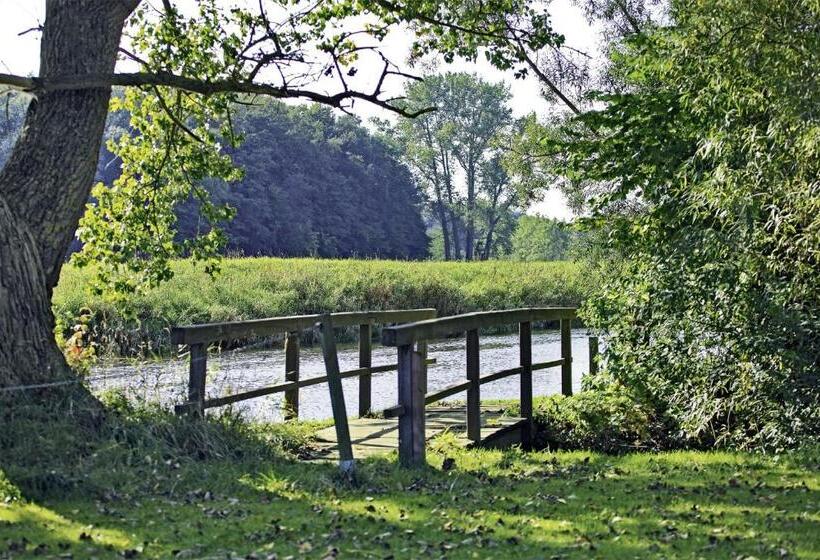 1 Bedroom Apartment Lake View, Oymanns