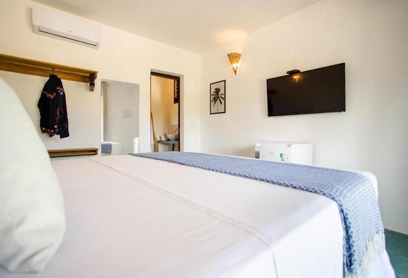 اتاق سوپریور, Casa Elea