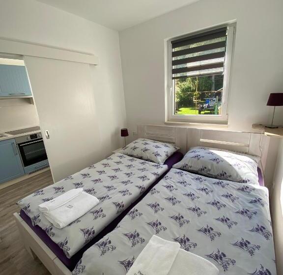 １階の１ベッドルームアパートメント, Penzion U Pešků