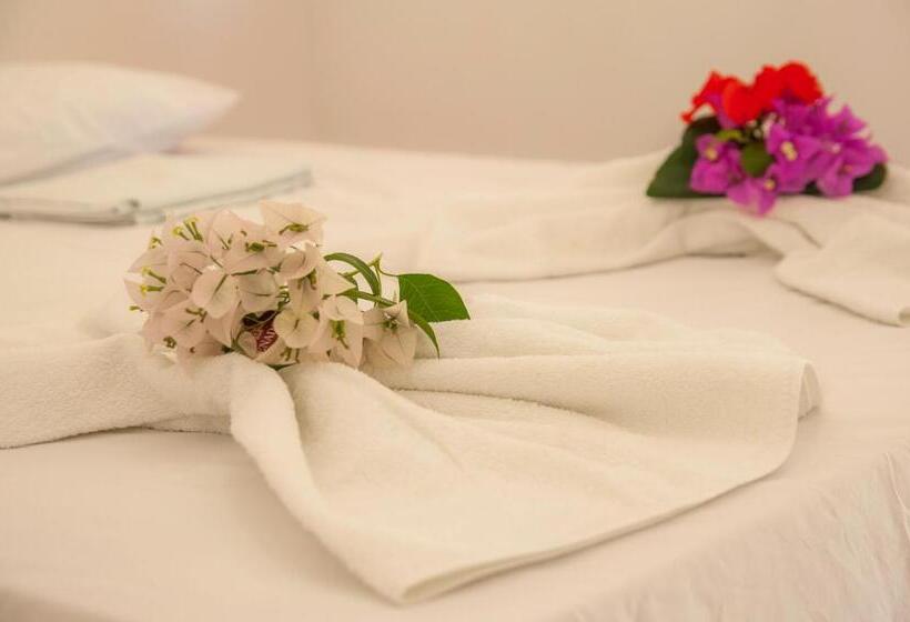 スタンダードシングルルーム, Pousada Flambaião