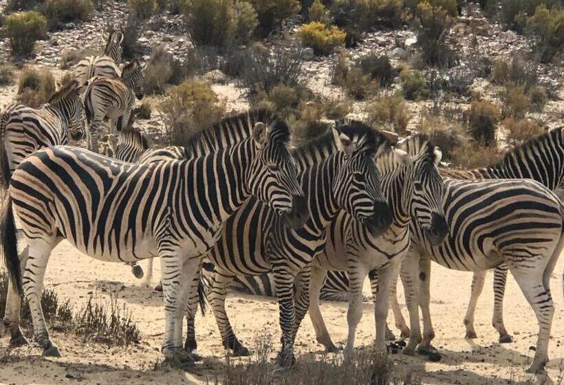 جناح سوبيريور, Taj Hotelapart, Taj Hotel Cape Town
