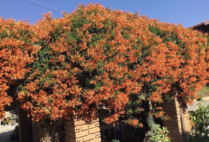 Pokój Standard, Mitkhoonyoum