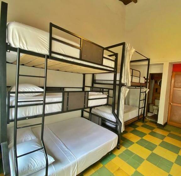 חדר משפחתי, Traveler Hostel