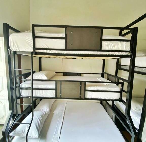 חדר משפחתי, Traveler Hostel