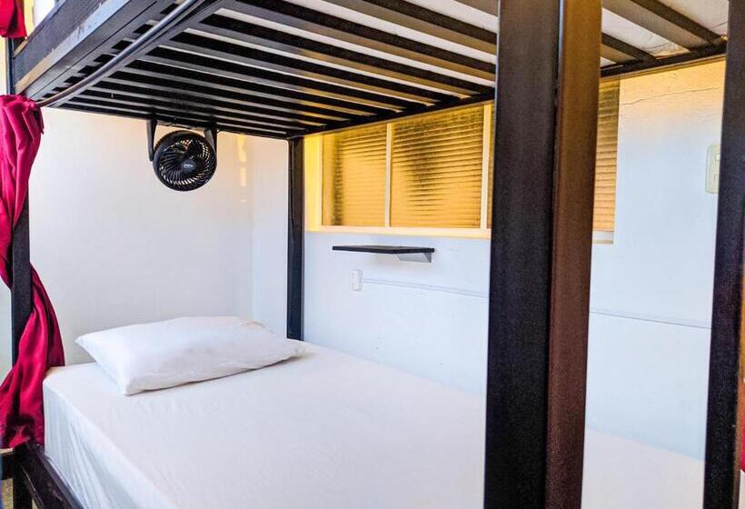 מיטה בחדר משותף, Traveler Hostel