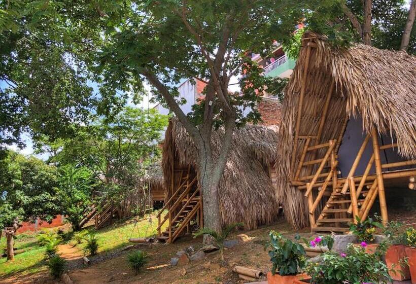 בקתת חדר, Traveler Hostel