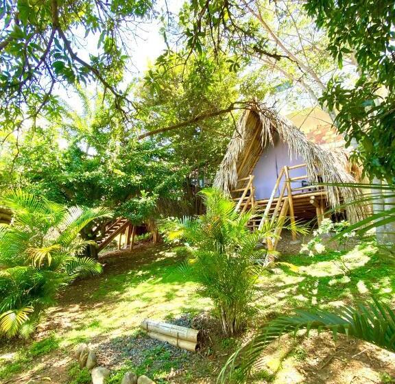 בקתת חדר, Traveler Hostel